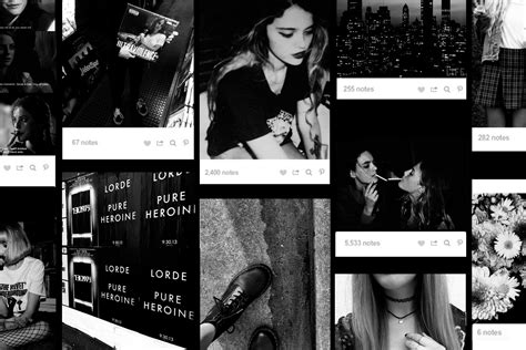 timlrz|About Tumblr.